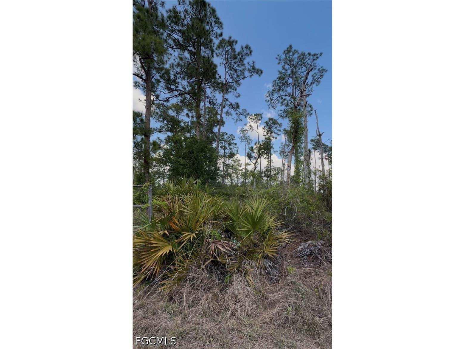 3703 E 7th Street Lehigh Acres FL 33972 2026009611 image12