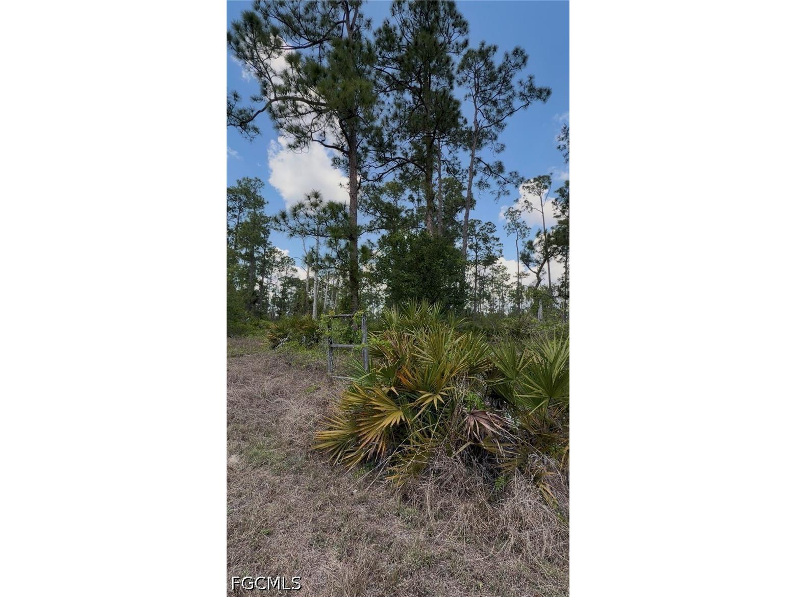 3703 E 7th Street Lehigh Acres FL 33972 2026009611 image13