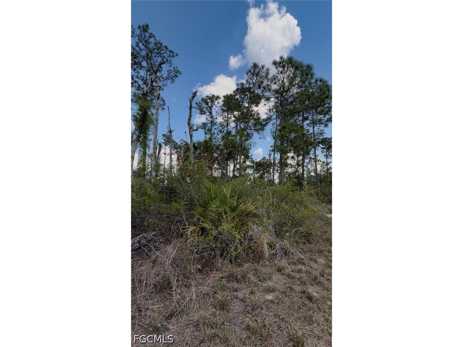 3703 E 7th Street Lehigh Acres FL 33972 2026009611 image14