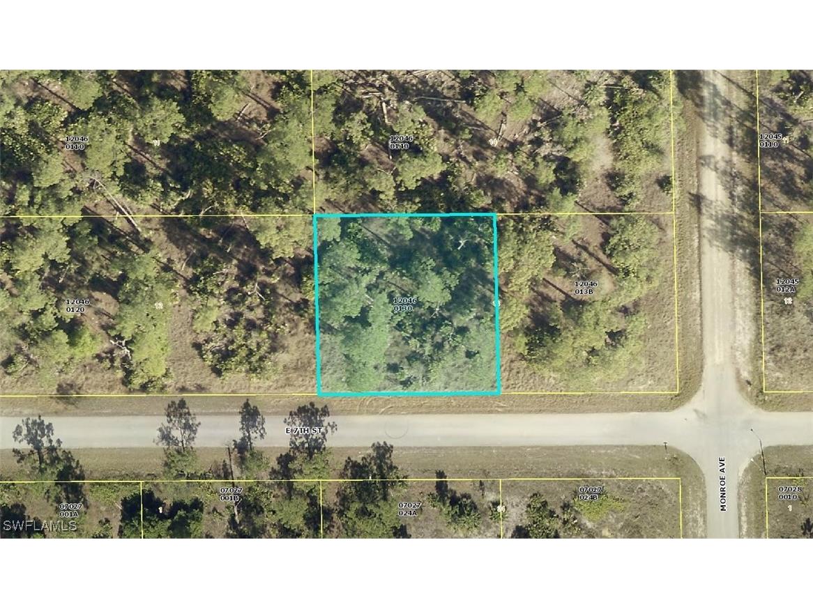 3703 E 7th Street Lehigh Acres FL 33972 225020641 image1