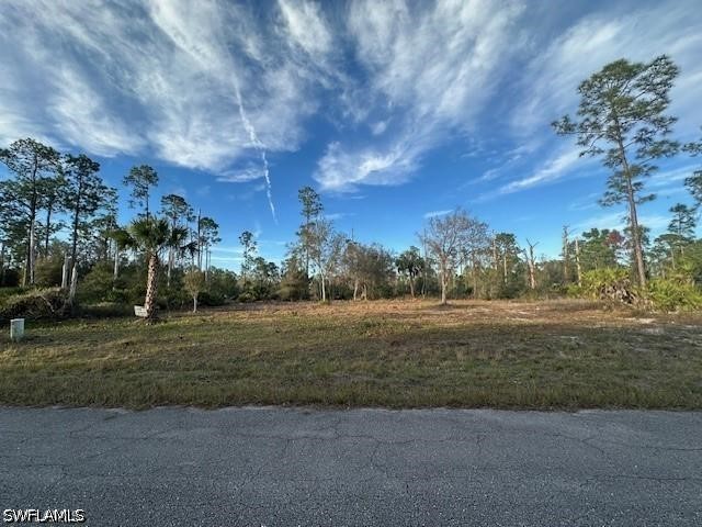 3705 E 9th Street Lehigh Acres FL 33972 226013027 image1