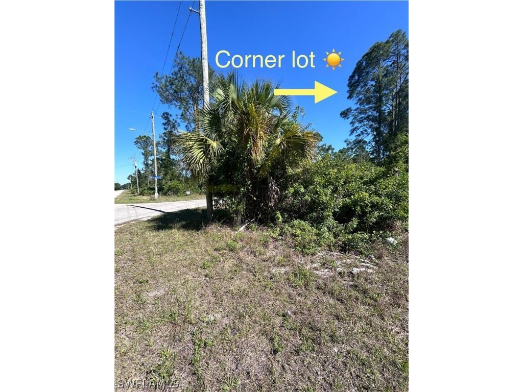 3706 E 21st Street Alva FL 33920 224035312 image2