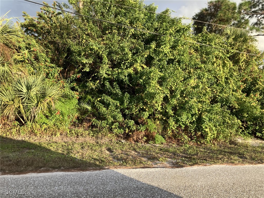 3709 NE 16th Avenue Cape Coral FL 33909 2025024109 image2