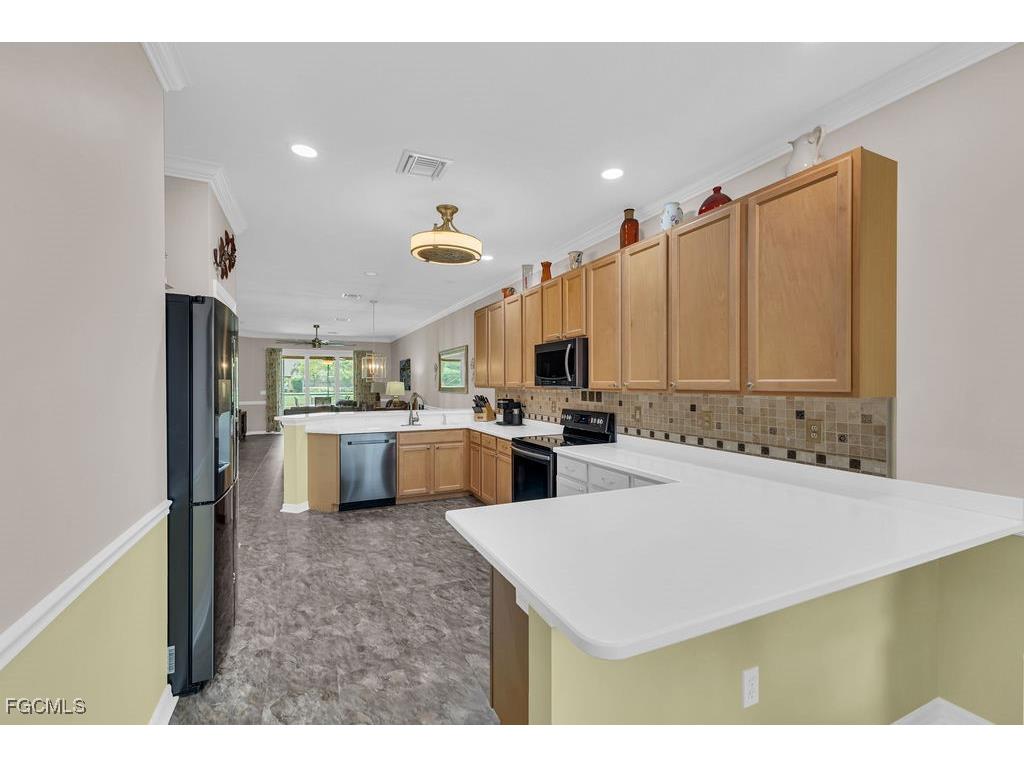 3725 Pino Vista Way Estero FL 33928 2026000077 image10