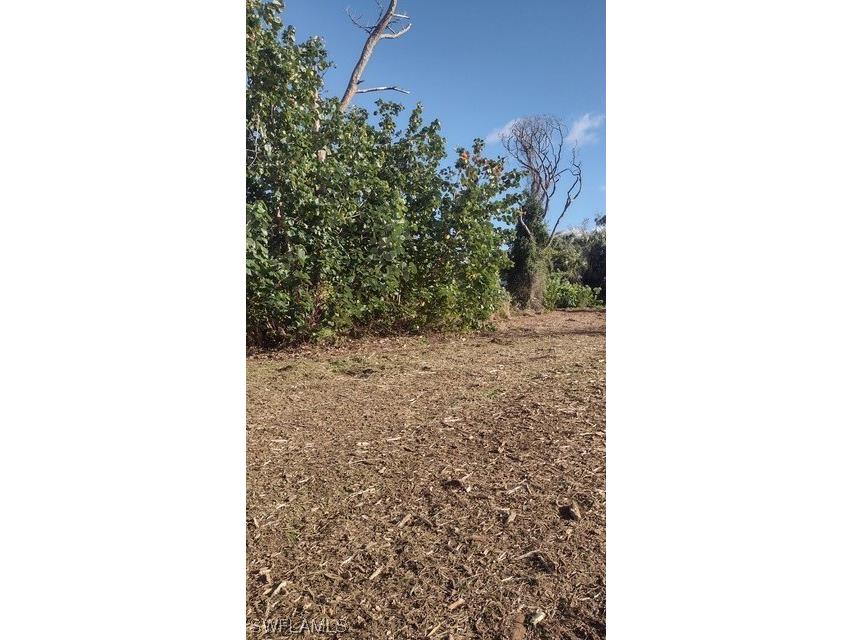 3739 Papaya Street Saint James City FL 33956 223037201 image1