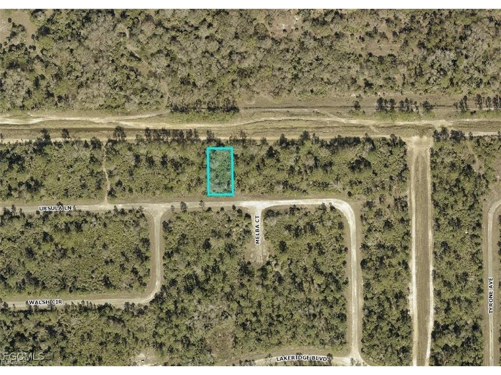374 Ursula Lane Lehigh Acres FL 33972 2026000756 image4