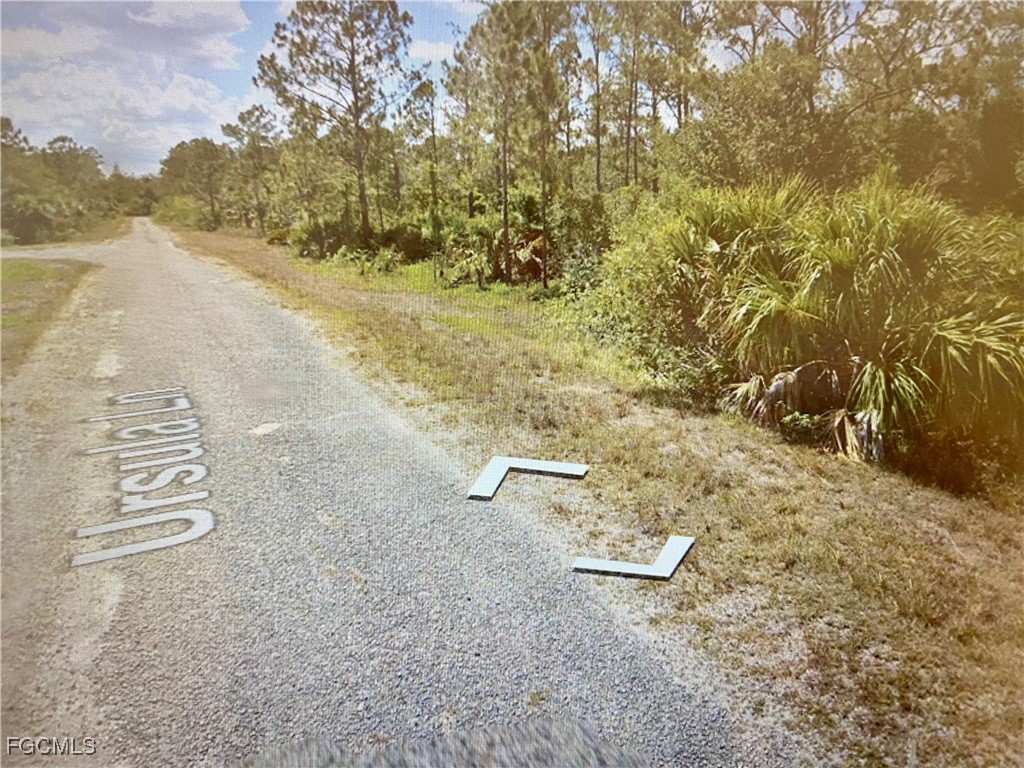 374 Ursula Lane Lehigh Acres FL 33972 2026000756 image5