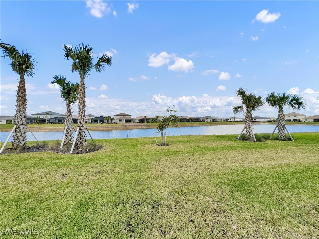 3748 Passion Vine Drive Alva FL 33920 226003646 image4