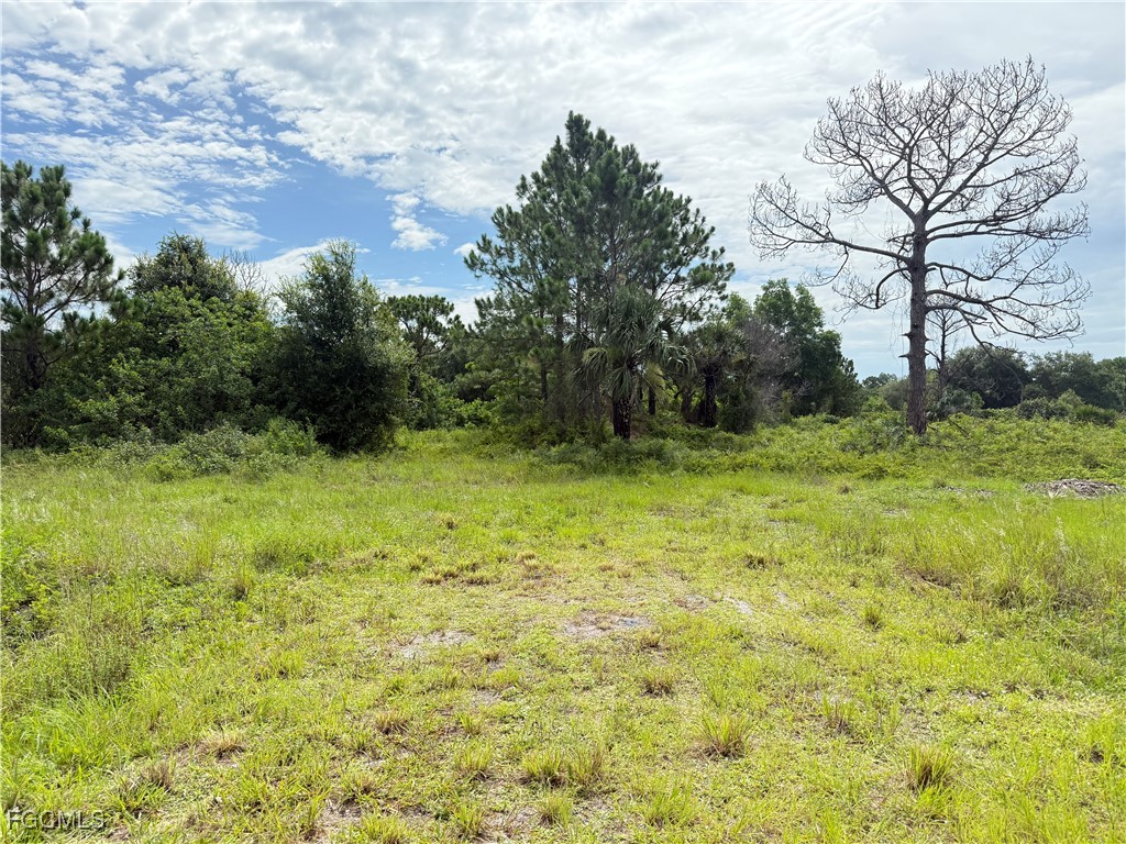 375 N Olivo Street Clewiston FL 33440 2025002527 image1