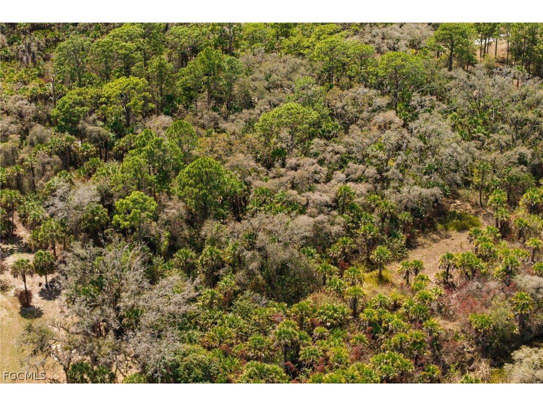 3751 Bateman Road Alva FL 33920 2026011874 image23