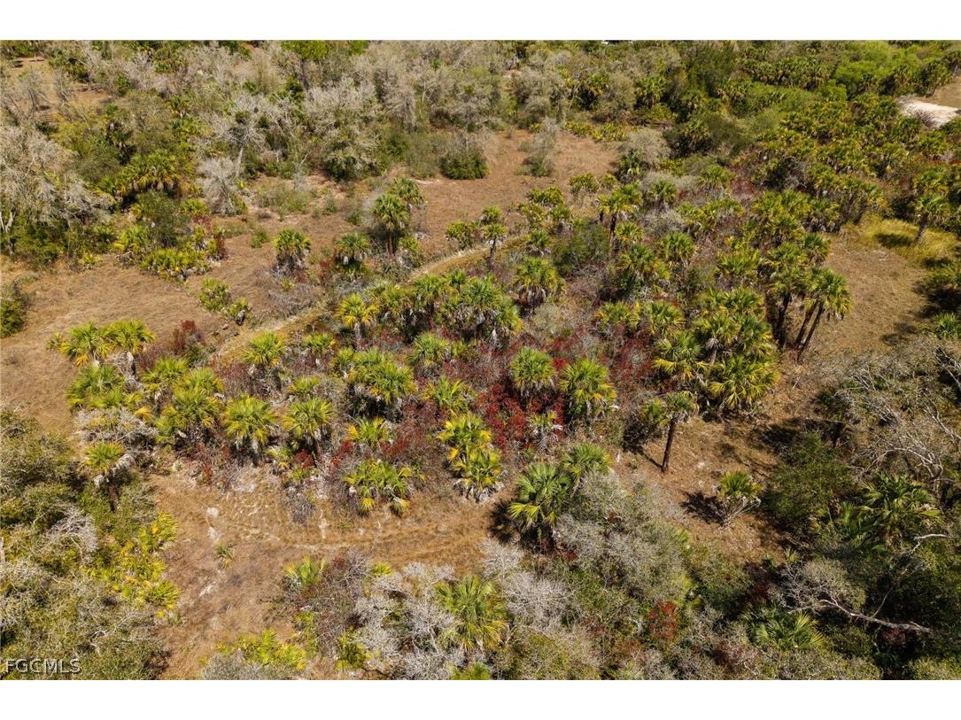 3751 Bateman Road Alva FL 33920 2026011874 image24