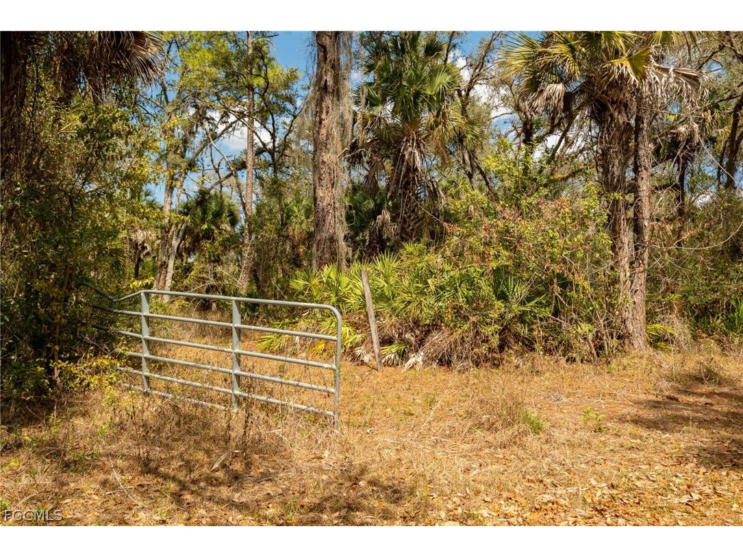 3751 Bateman Road Alva FL 33920 2026011874 image3