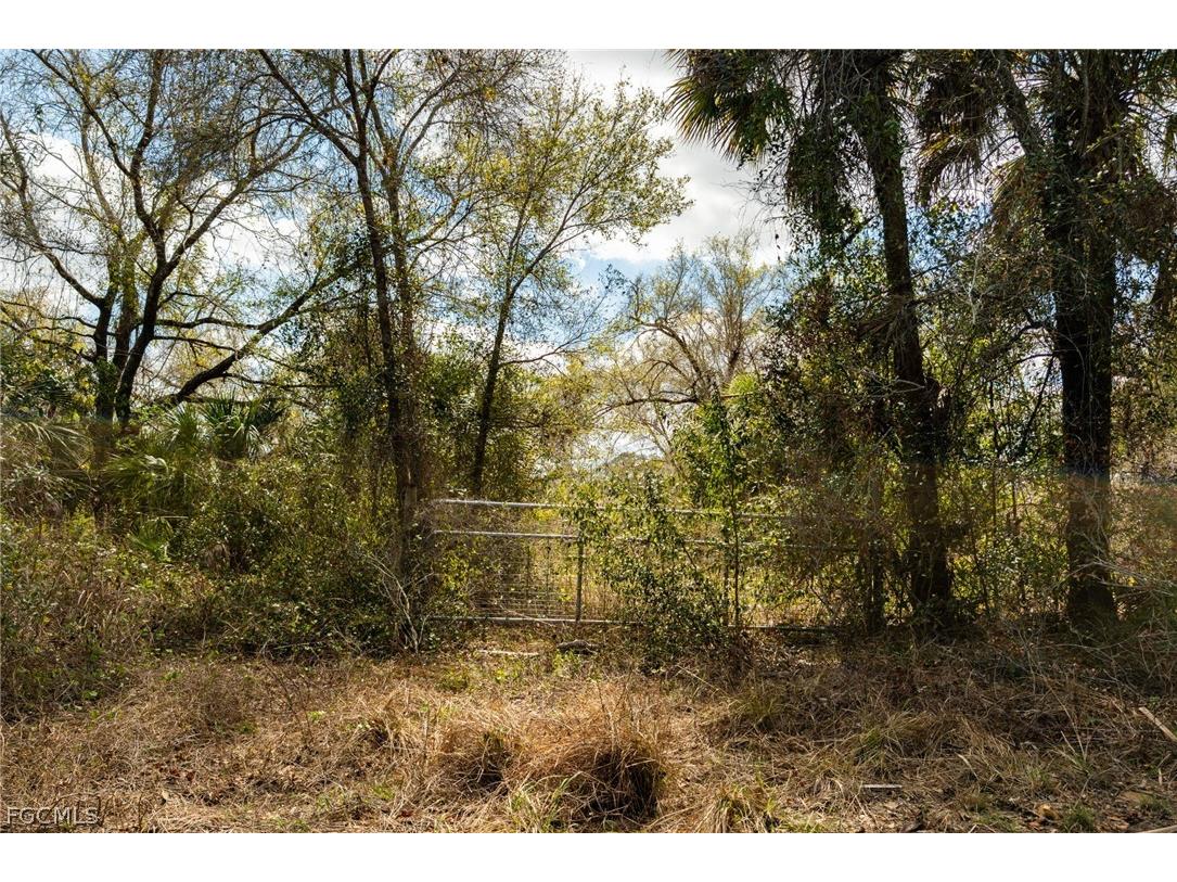 3751 Bateman Road Alva FL 33920 2026011874 image4