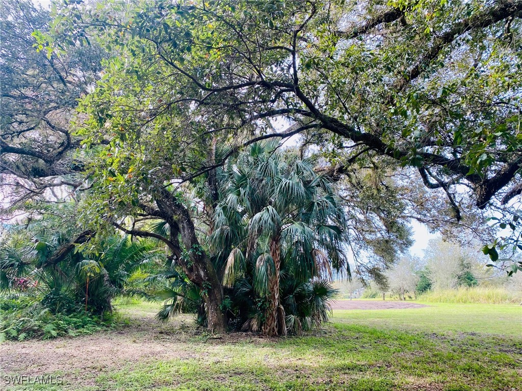 3771 Cr-78 Labelle FL 33935 225037051 image10