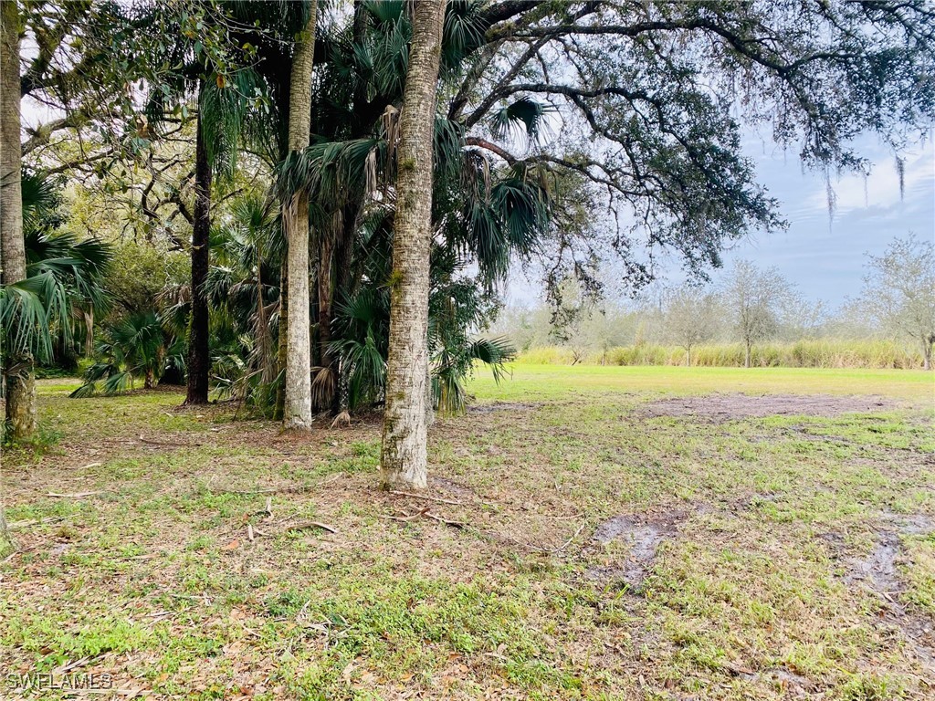 3771 Cr-78 Labelle FL 33935 225037051 image7