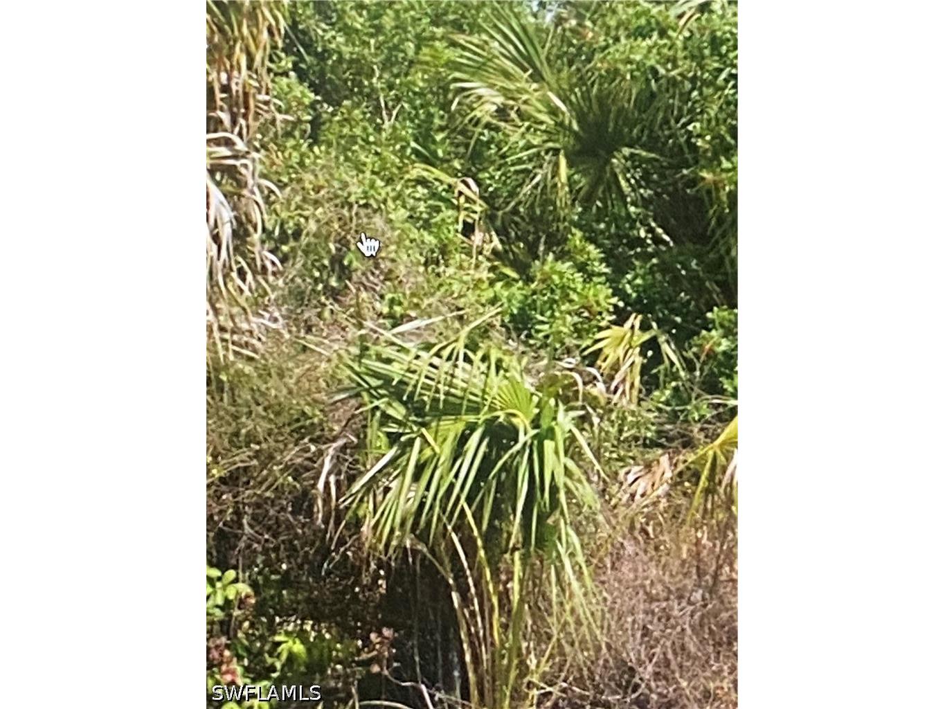 3774 2nd Avenue NE Naples FL 34120 226021475 image3