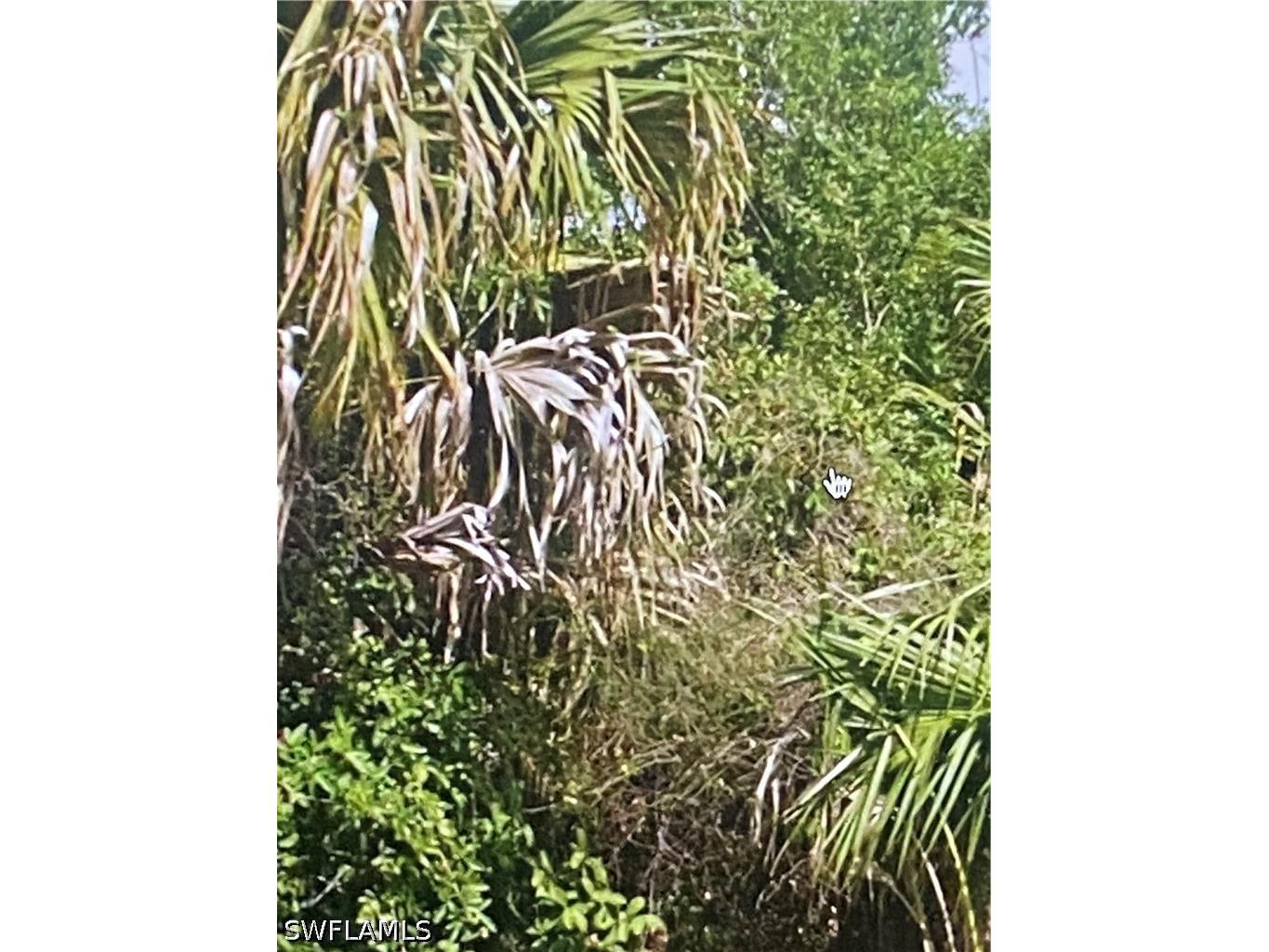 3774 2nd Avenue NE Naples FL 34120 226021475 image4