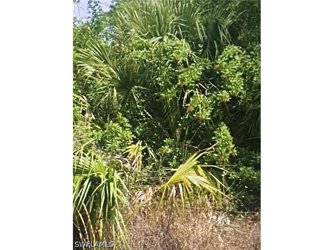 3774 2nd Avenue NE Naples FL 34120 226021475 image5