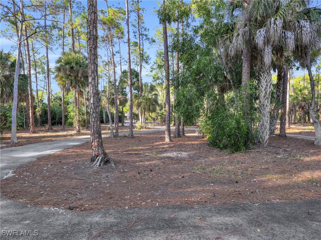 3790 1st Avenue NW Naples FL 34120 226003574 image17