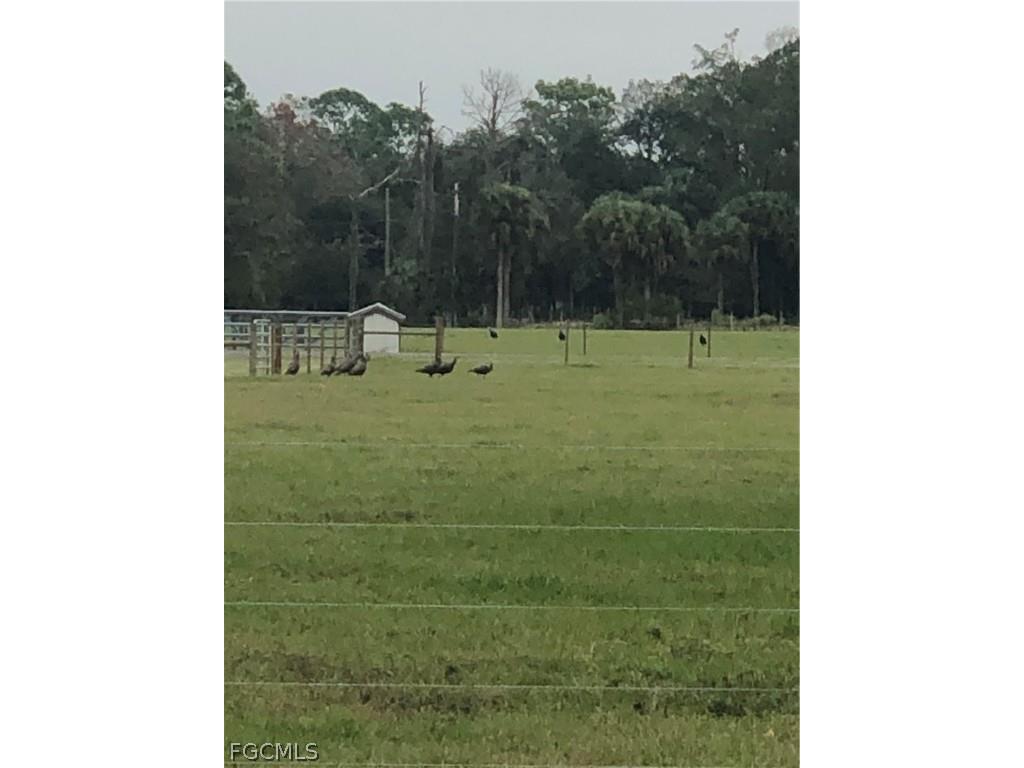 3790 Goggin Road Alva FL 33920 2026008196 image22