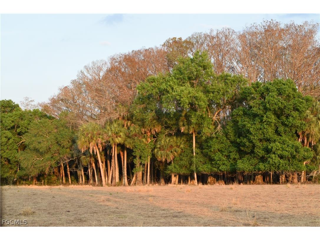 3790 Goggin Road Alva FL 33920 2026008196 image24
