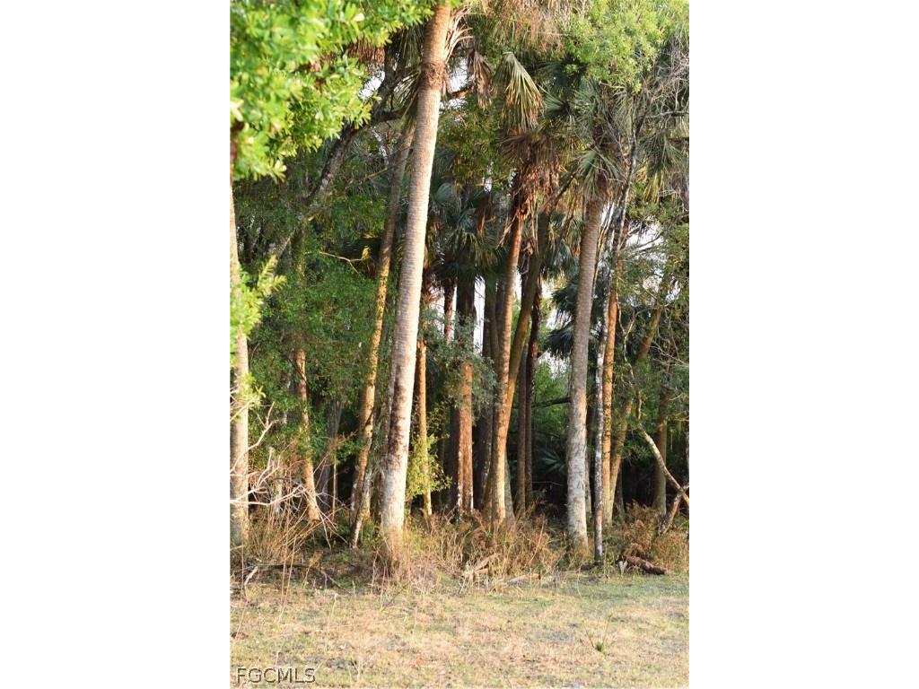 3790 Goggin Road Alva FL 33920 2026008196 image29