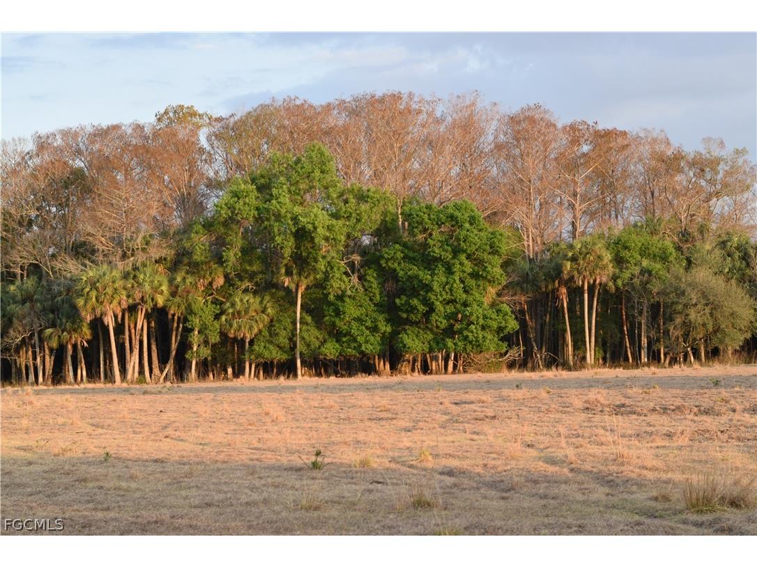 3790 Goggin Road Alva FL 33920 2026008196 image31