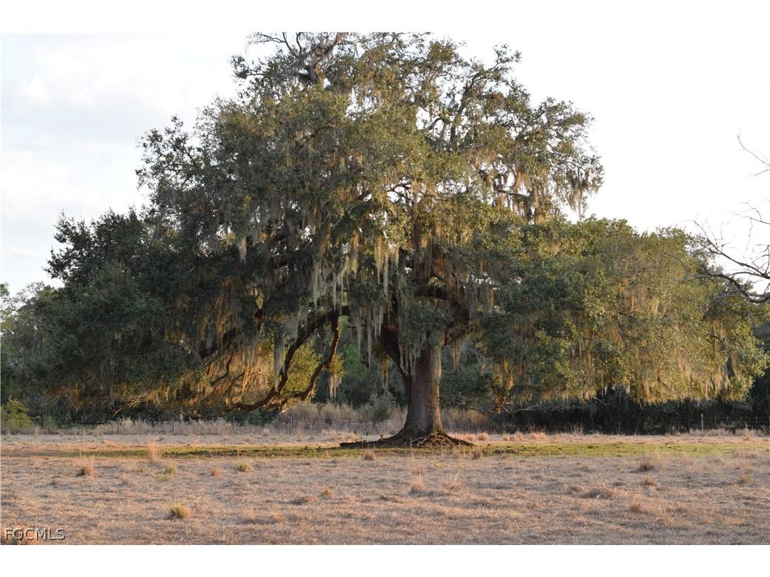 3790 Goggin Road Alva FL 33920 2026008196 image32