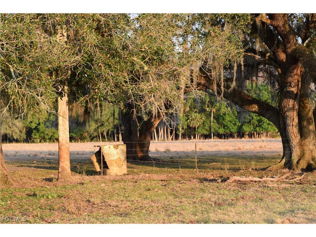 3790 Goggin Road Alva FL 33920 2026008196 image33