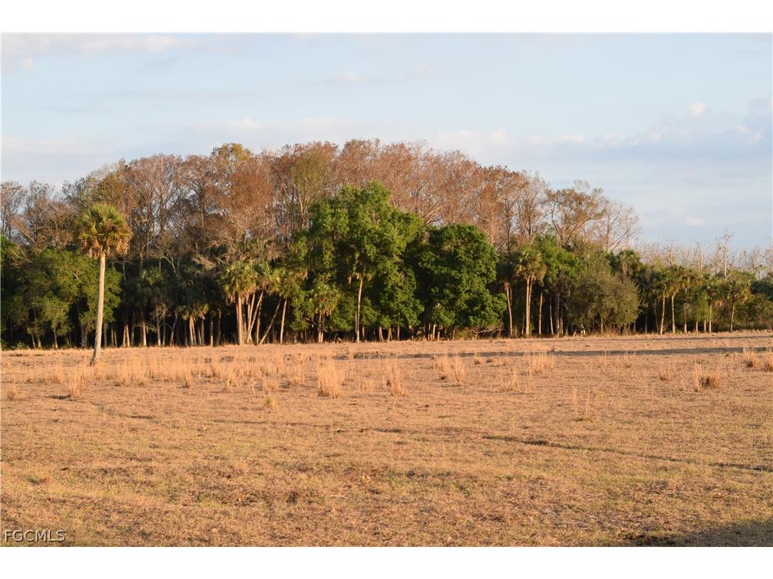 3790 Goggin Road Alva FL 33920 2026008196 image35
