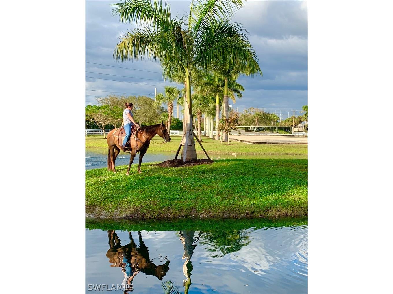 3800 Staley Road Fort Myers FL 33905 226009450 image3