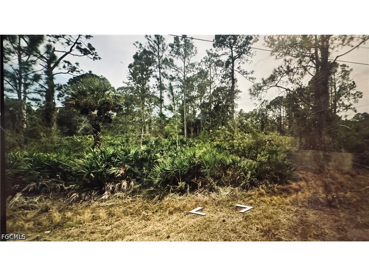 3802 E 21st Street Alva FL 33920 2026022128 image5