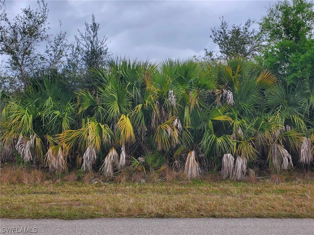 3804 Hyde Park Drive Fort Myers FL 33905 224016252 image1