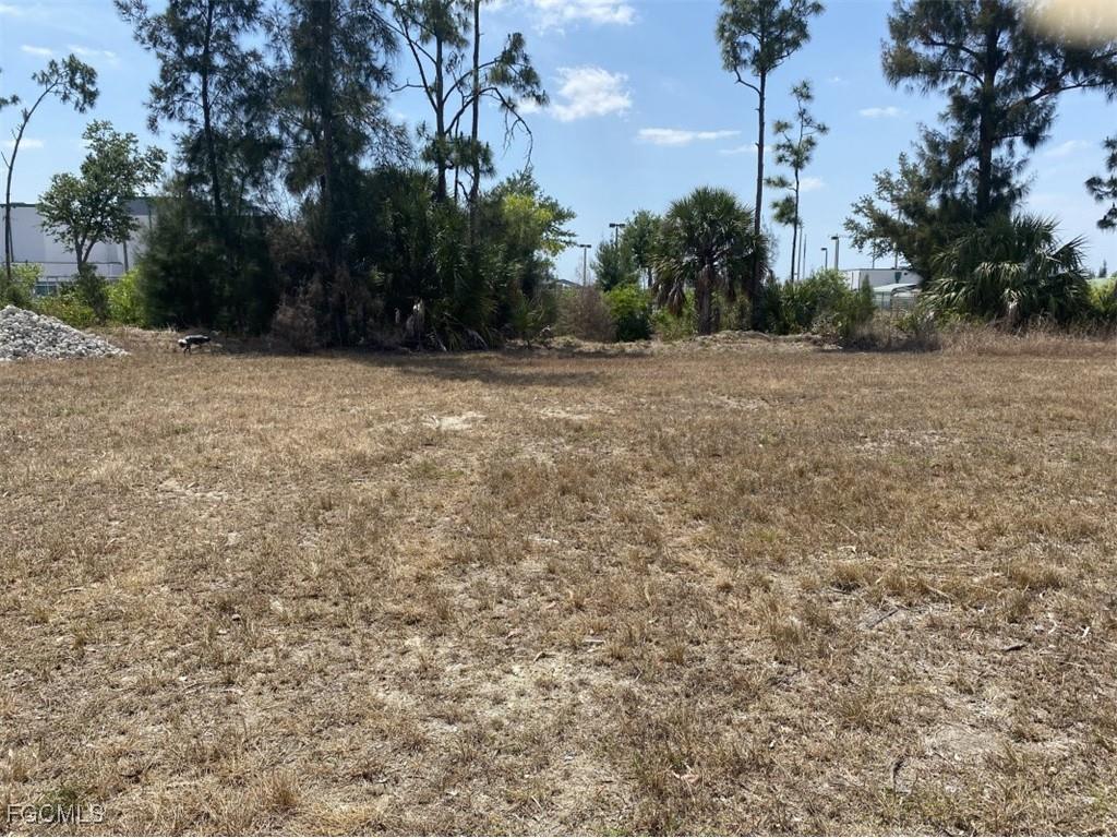 3808 NE 23rd Avenue Cape Coral FL 33909 2025022803 image2