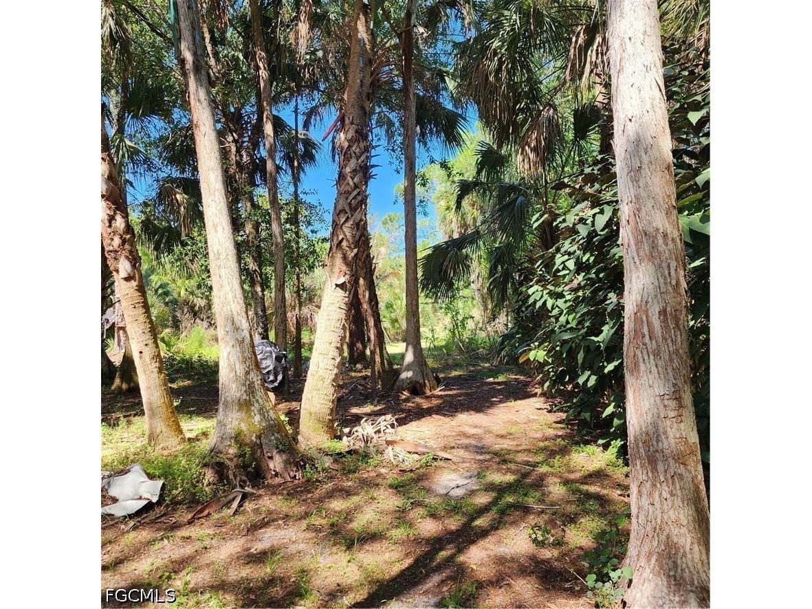 381 8th Street NE Naples FL 34120 2026017656 image10