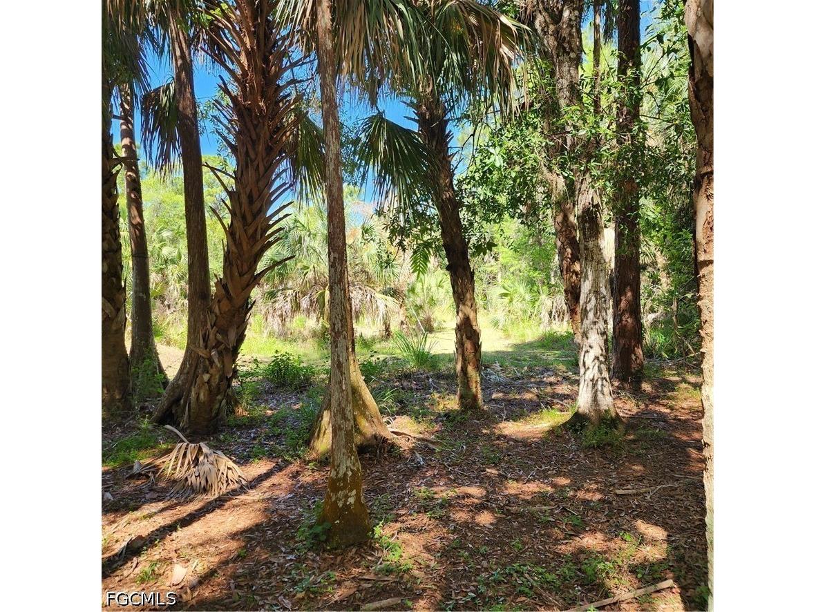 381 8th Street NE Naples FL 34120 2026017656 image11