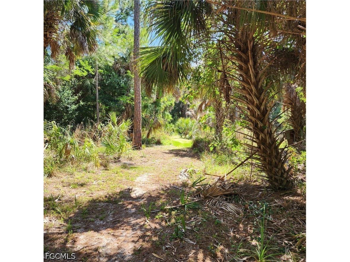 381 8th Street NE Naples FL 34120 2026017656 image3