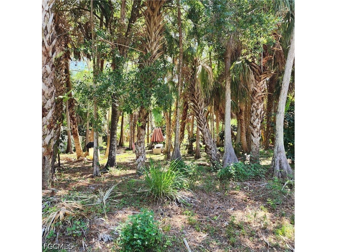 381 8th Street NE Naples FL 34120 2026017656 image5