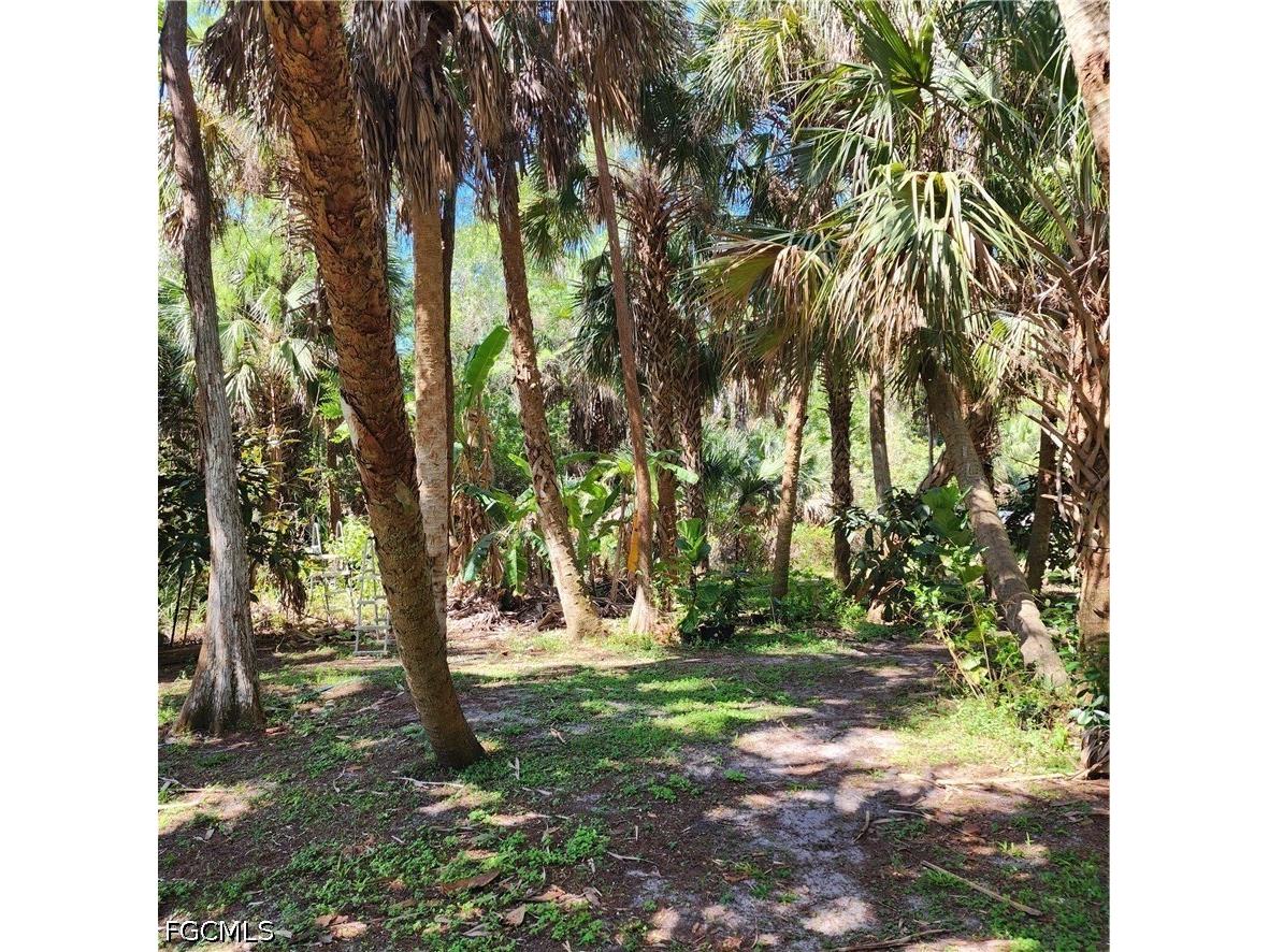 381 8th Street NE Naples FL 34120 2026017656 image6