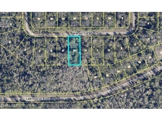 381 Walsh Circle Lehigh Acres FL 33972 225057447 image2