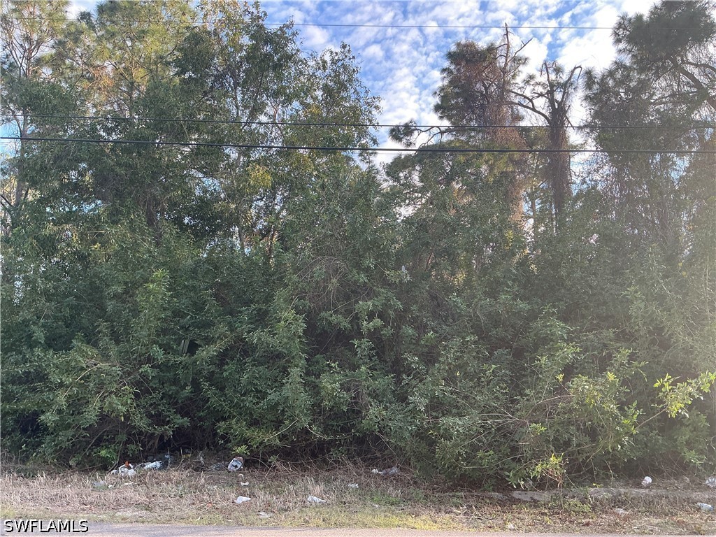 3811 4th Street W Lehigh Acres FL 33971 226013048 image1