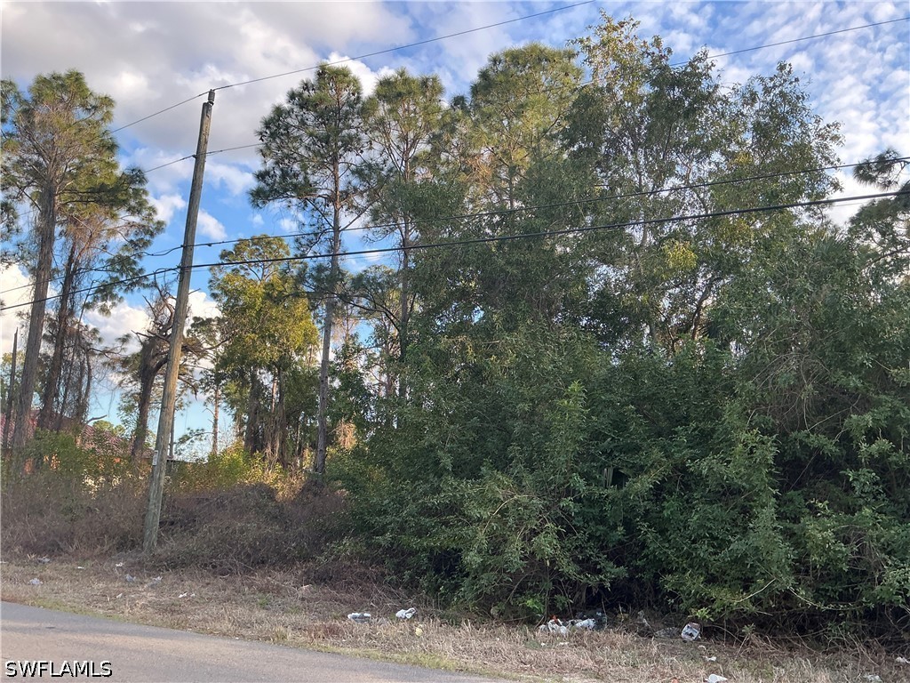 3811 4th Street W Lehigh Acres FL 33971 226013048 image3