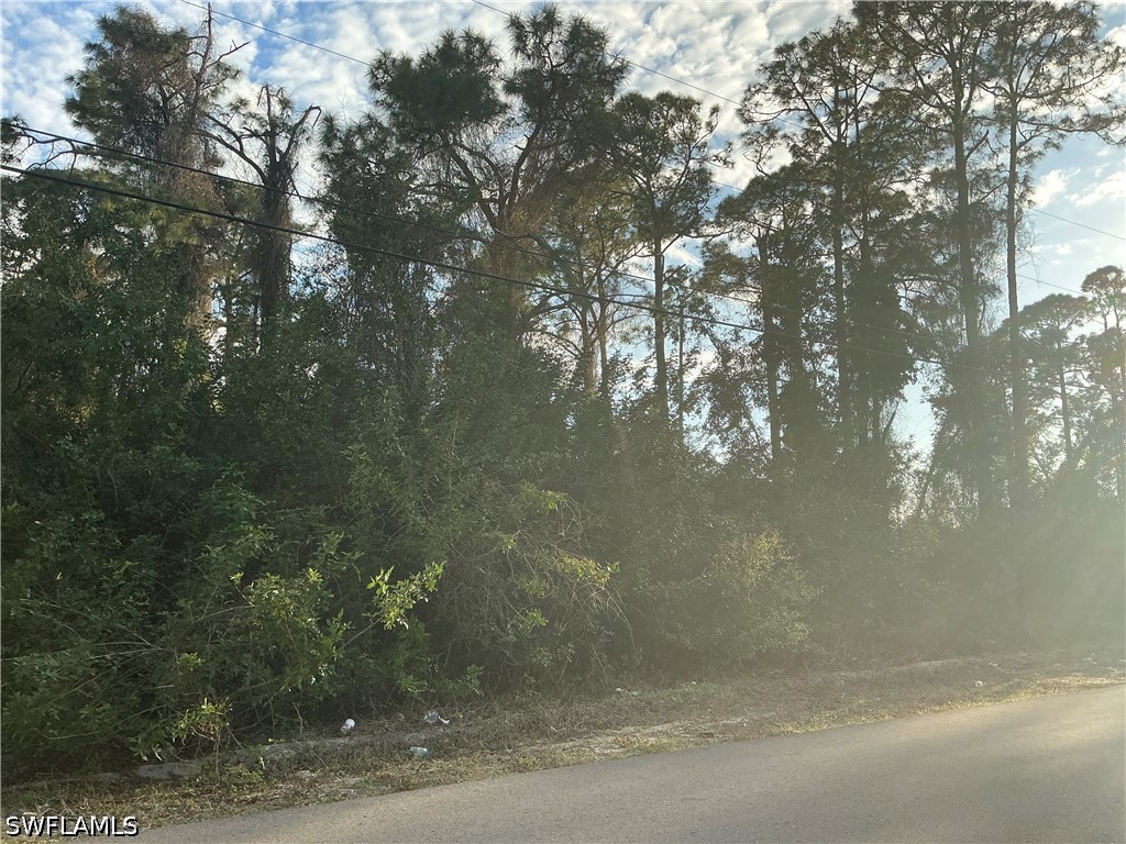 3811 4th Street W Lehigh Acres FL 33971 226013048 image4