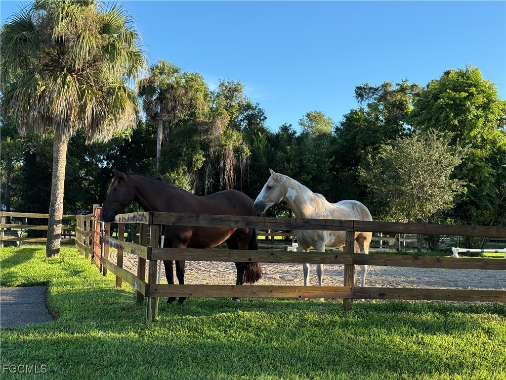 3812 Hidden Acres Circle S North Fort Myers FL 33903 2025018195 image46