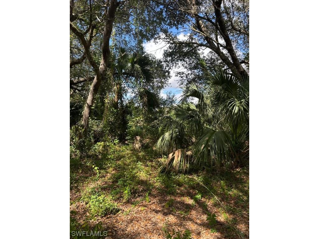 3816 37th Street SW Lehigh Acres FL 33976 223083581 image1