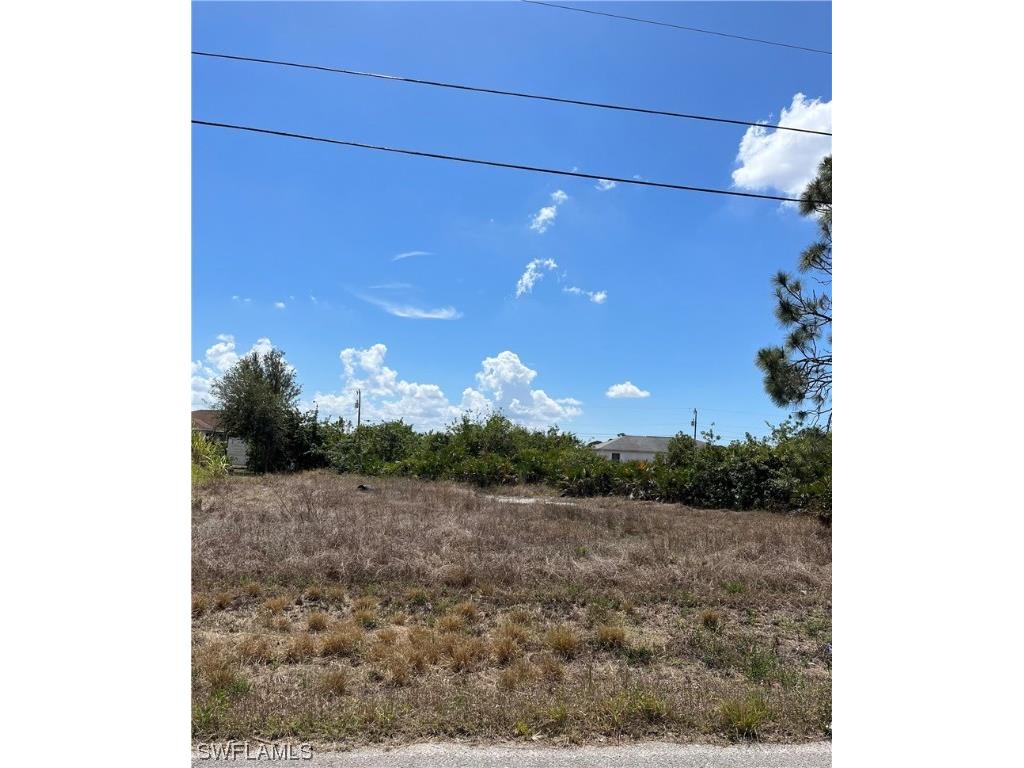 3817 16th Street SW Lehigh Acres FL 33976 223022772 image1