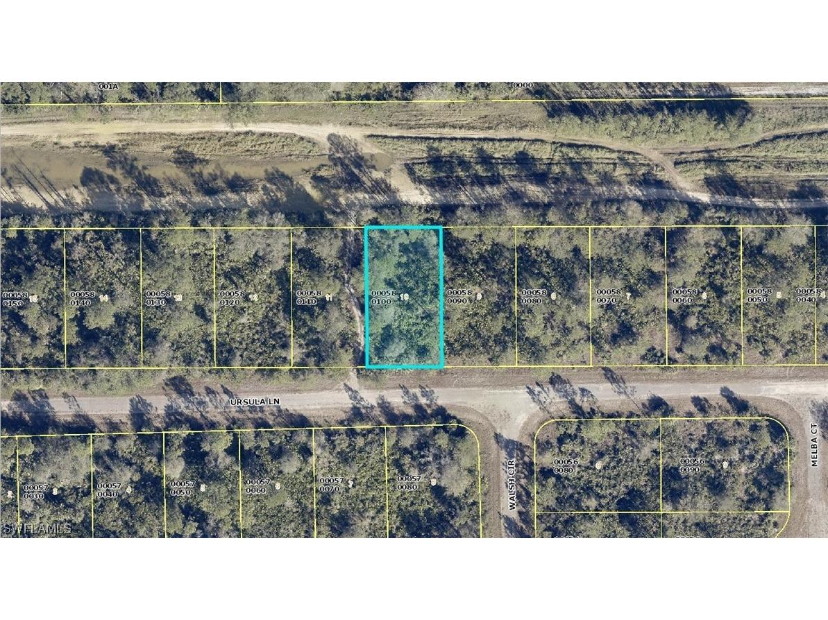 382 Ursula Lane Lehigh Acres FL 33972 223090251 image1