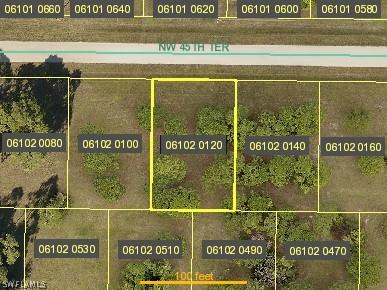3820 NW 45th Terrace Cape Coral FL 33993 222028067 image1