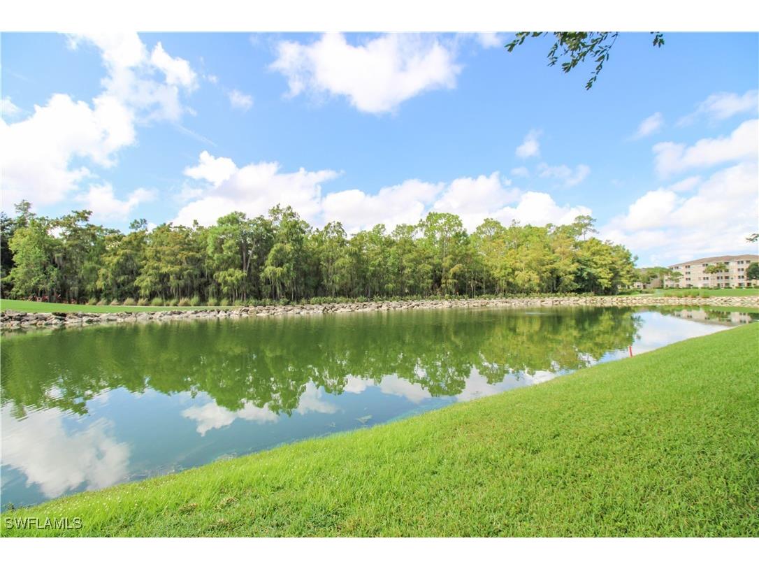 3820 Sawgrass Way #3046 Naples FL 34112 225064894 image45