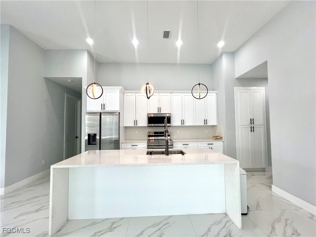 3821 SW 20th Place Cape Coral FL 33914 2025006964 image22